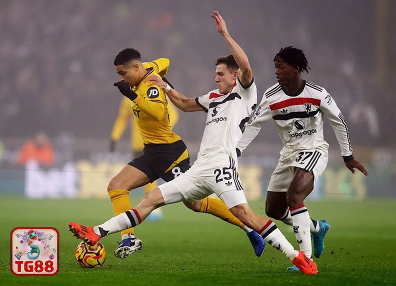 Thể thao TG88 - Trang trận đấu trực quan, tập trung vào điều cần biết